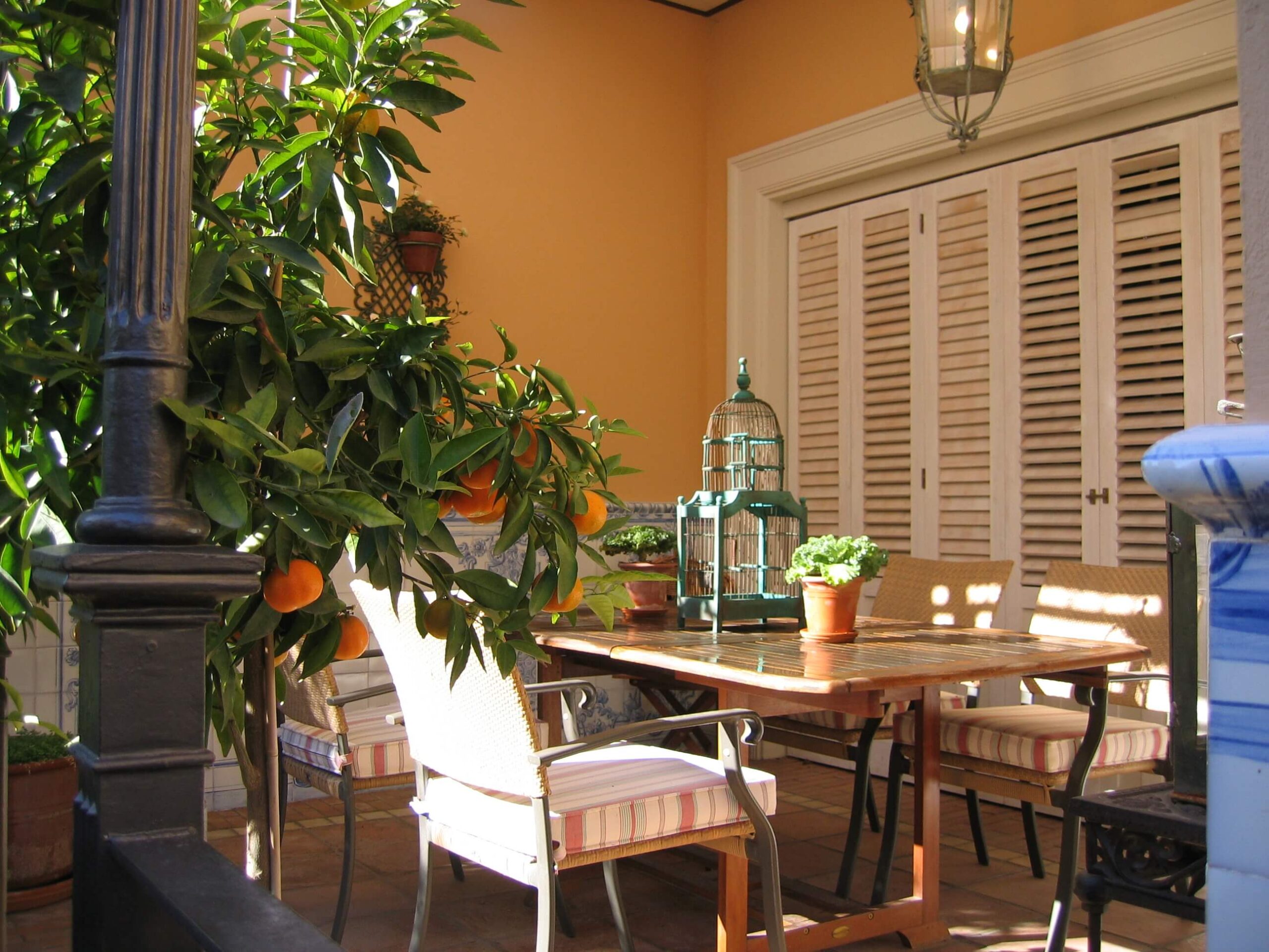 proyecto porches jardines 1 scaled